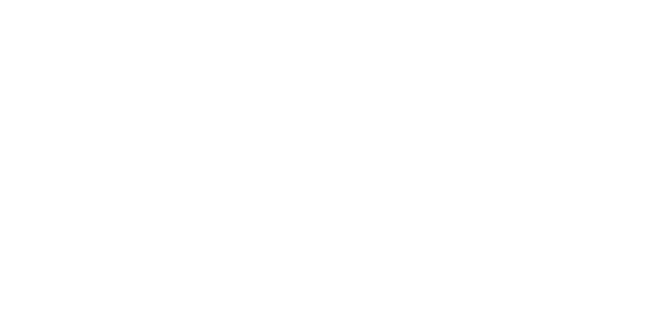 The voice logo